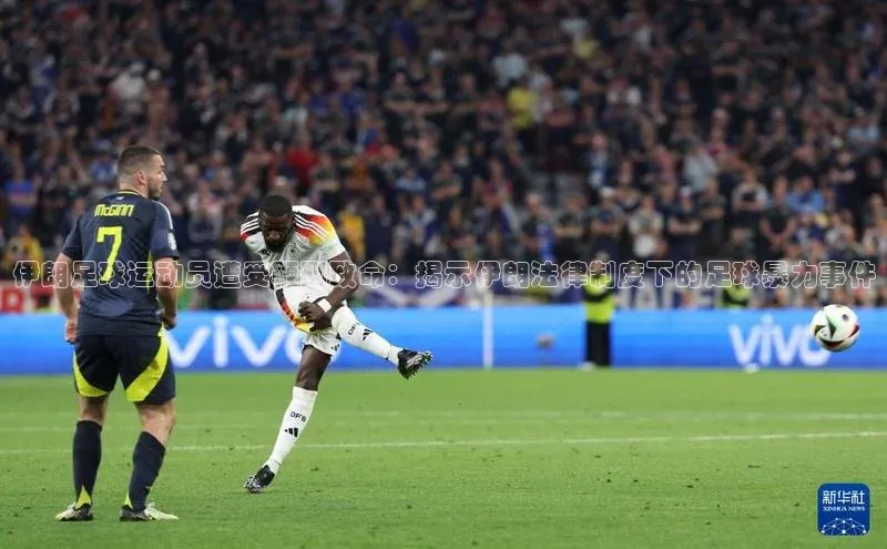 加拿大28圈下载百度取证伊朗足球运动员遭受鞭刑致命：揭示伊朗法律制度下的足球暴力事件