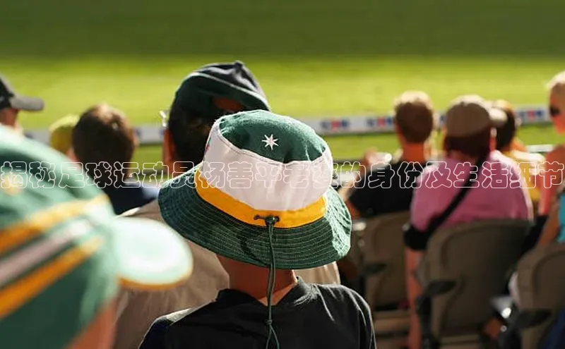 28电子游戏官方网站每日互动揭秘足球运动员杨善平老婆的身份及生活细节