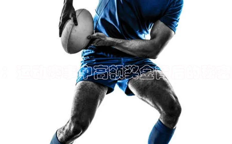 pc28圈下载文心一言：运动赛事中高额奖金背后的秘密