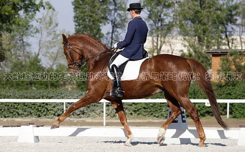 大数据驱动的定向运动赛事数据分析与策略优化：案例研究
