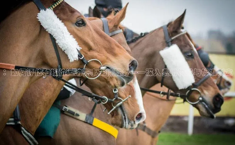 ：如何评估和报价运动赛事主持服务——深入费用构成与标准制定
