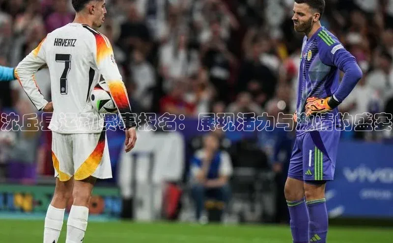 沈丘县运动赛事报名：展现活力与激情的盛宴