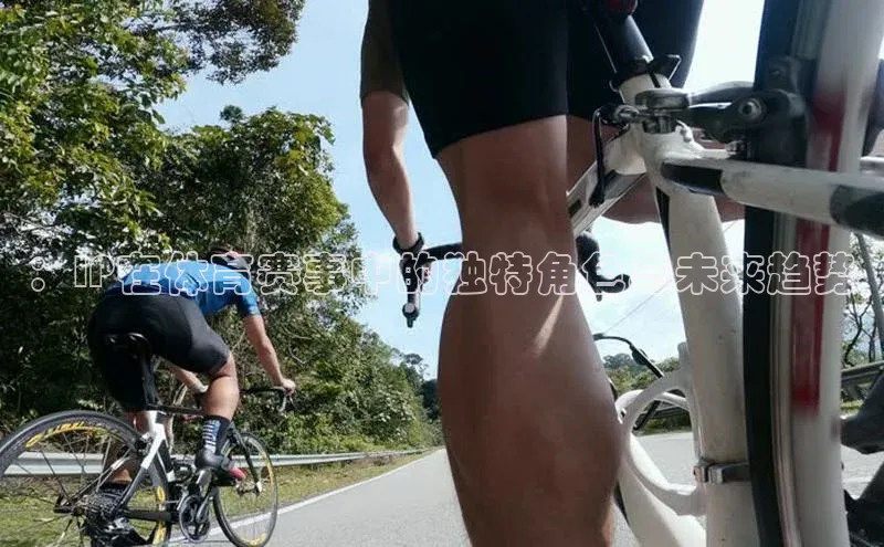 ：IP在体育赛事中的独特角色与未来趋势