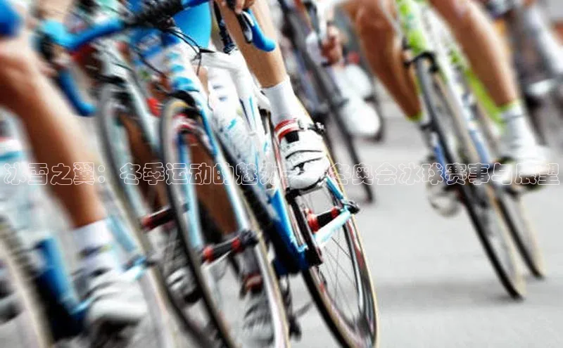 冰雪之翼：冬季运动的魅力——冬奥会冰球赛事与展望