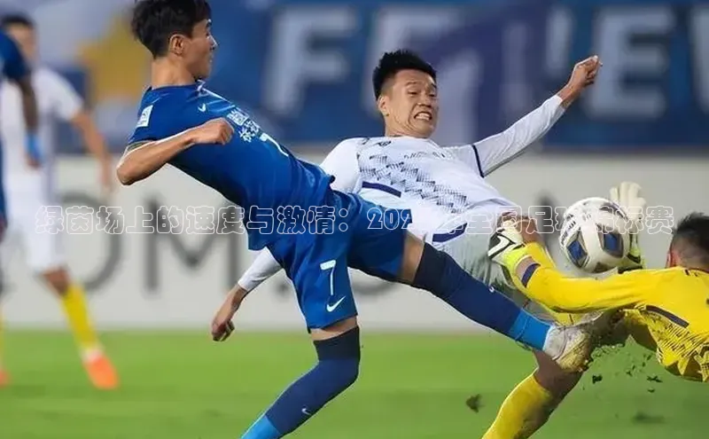 绿茵场上的速度与激情：2023年全国足球锦标赛