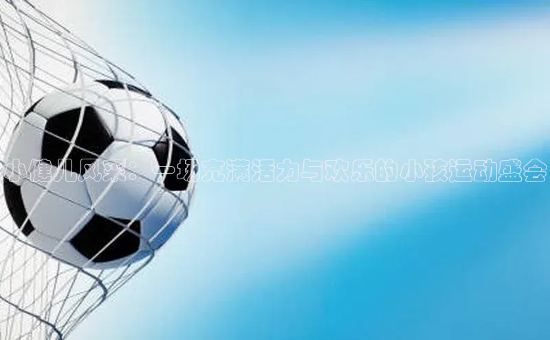小健儿风采：一场充满活力与欢乐的小孩运动盛会