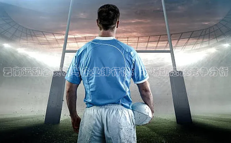 云南运动会赛况与企业排行榜：市场动态及竞争分析