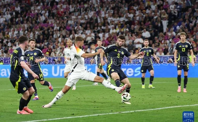 运动盛事现场直播：最新赛事精彩回放尽在眼前