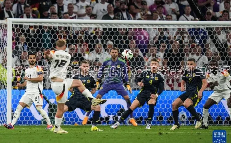 燃动激情：运动赛事的热身环节策划与技巧