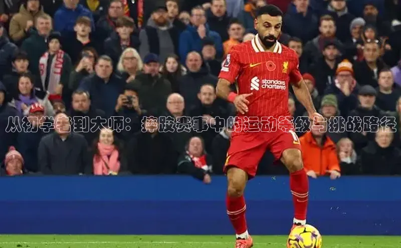 从初学者到大师：摔跤赛事中的运动等级与挑战路径