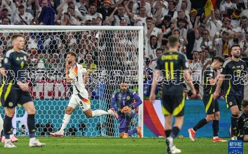 陇县运动会精彩纷呈的赛事项目一览