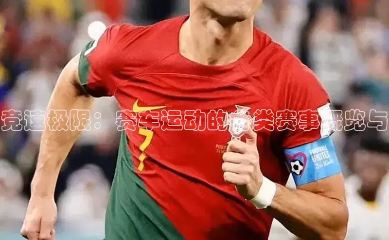 竞速极限：赛车运动的各类赛事概览与