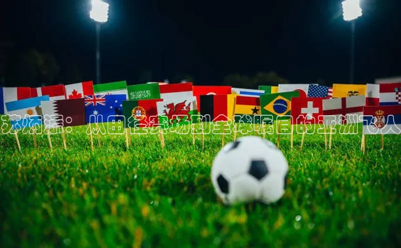 苏炳添：从田径赛场到全球瞩目的亚洲飞人