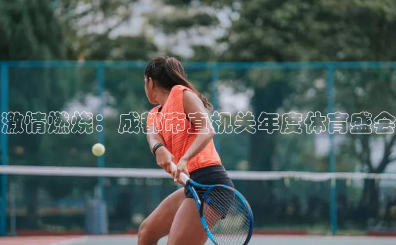 激情燃烧：成都市直机关年度体育盛会